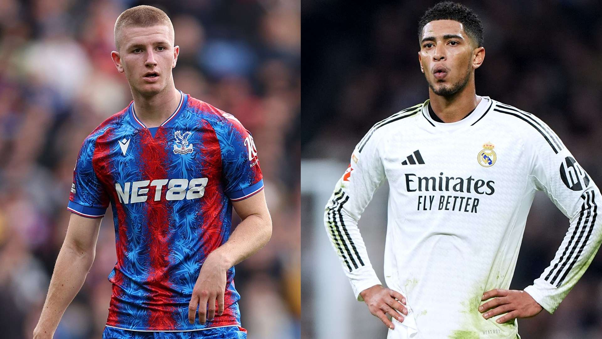 在這一階段 在這一階段