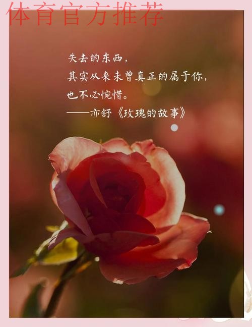 虽败犹荣 玫瑰重拾铿锵气质崛起指日可待！